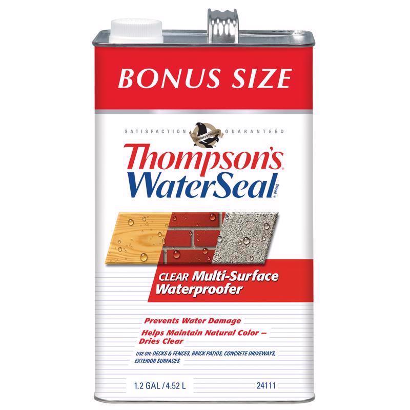 Thompson's WaterSeal Flat Clear Multi-Surface Waterproofer 1.2 gal