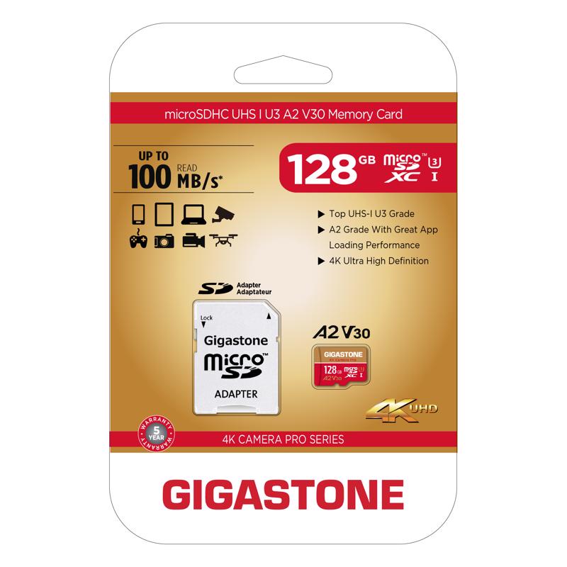 Gigastone SD Flash Memory Card 1 pk