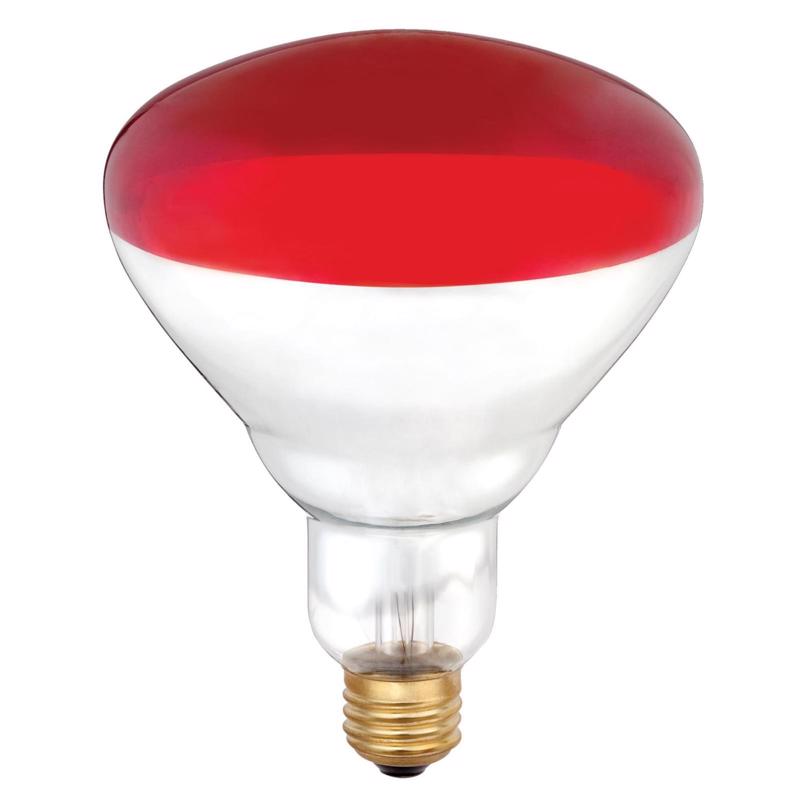 Westinghouse 250 W R40 Heat Lamp Incandescent Bulb E26 (Medium) Red 6 pk