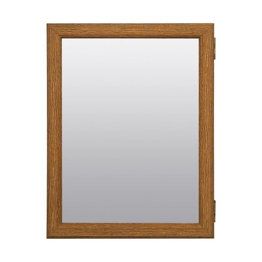 Zenna Home 19.25 in. H X 15.5 in. W X 4.5 in. D Rectangle Medicine Cabinet/Mirror