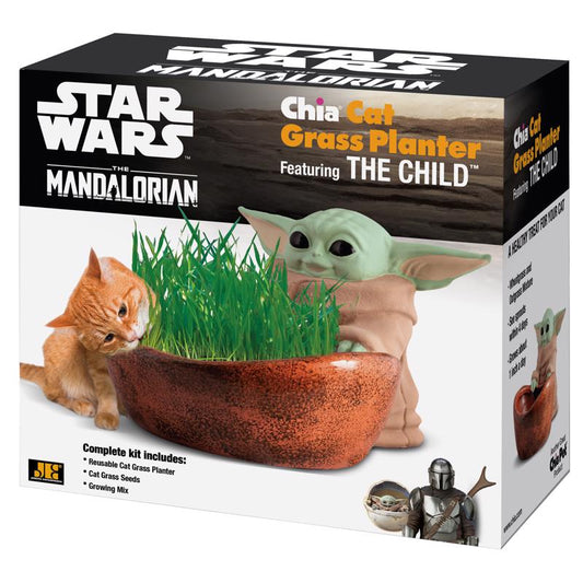 Chia Pet Star Wars Decorative Planter Terracotta Clay 1 pk