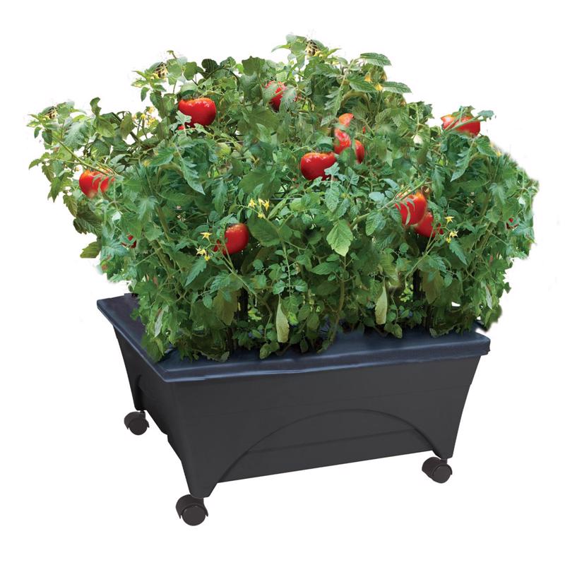 City Pickers 11 in. H X 24 in. W X 20 in. D Resin Garden Bed Charcoal