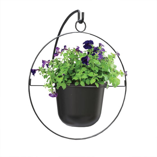 Panacea 17 in. D Metal Round Ring Hanging Planter Black