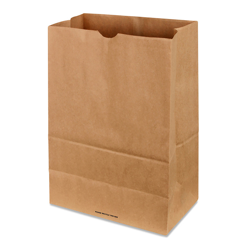 Recycled Paper Brown Shopping Bag 500 pk 17 in. H X 7 in. W X 12 in. L